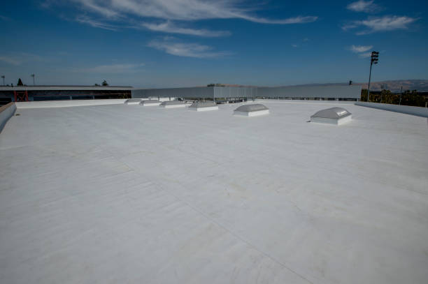 Best Roof Coating Services  in Kankakee, IL